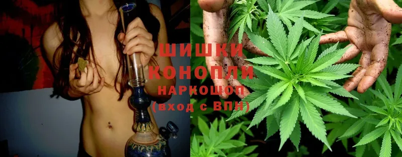 Шишки марихуана OG Kush  хочу   Болотное 